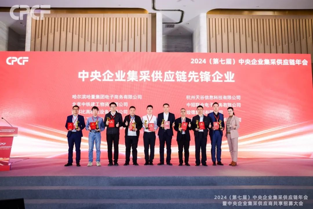 喜报！彩霸王官网荣获2024年度（CPCF）中央企业集采供应链年会先锋企业荣誉称号